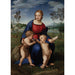 Reproductie van het schilderij De madonna van de distelvink - Raphael