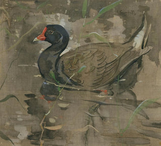 La foulque - Joseph Crawhall