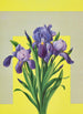 Iris Painting - Lafayette F. Cargill — artwork view