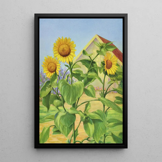 Lafayette F Cargill - Sunflower.webp