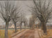 Een weg bij Vindern, Zealand - Laurits Andersen Ring — weergave van het kunstwerk