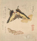 The Painting Manual of Flock of Butterflies Guncho Gafu 3 - Kubo Shunman — artwork view