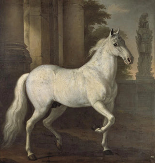 Le brillant de Karl XI - David Klöcker Ehrenstrahl