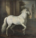Het paard van Karel XI, Briljant - David Klöcker Ehrenstrahl — weergave van het kunstwerk