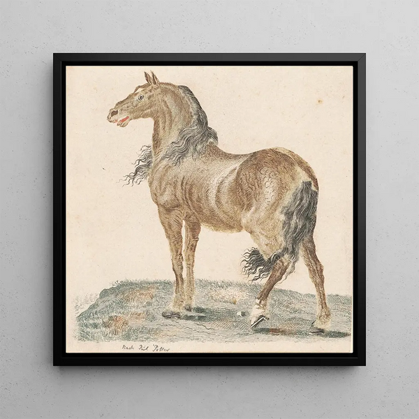 Le cheval hennissant - Johann Teyler