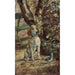 Reproduction of the painting of the artist Flèche's dog - Henri de Toulouse-Lautrec
