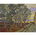 Reproductie van het schilderij Het ziekenhuisplein in Saint-Paul - Vincent van Gogh
