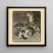 Het boek van de kat pl 2 - Elizabeth Fearne Bonsall — ingelijst kunstwerk aan de muur