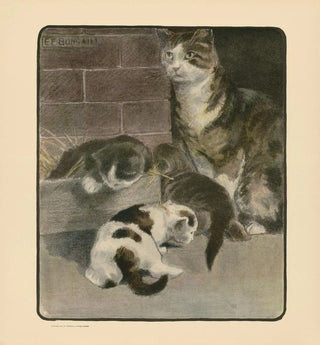 Le livre du chat pl 2 - Elizabeth Fearne Bonsall