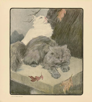 Le livre du chat pl 5 - Elizabeth Fearne Bonsall
