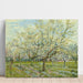 Reproductie van het schilderij Het witte boomgaard - Vincent van Gogh