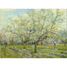 Reproductie van het schilderij Het witte boomgaard - Vincent van Gogh