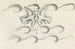 van Conceptions pour un filigrane de billet de banque Deux colombes volant au-dessus des vagues - Leo Gestel — weergave van het kunstwerk