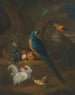 Een spin en andere vogels in een landschap - Leonard Hübner — weergave van het kunstwerk