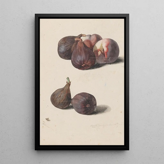 Leopold Zinngger - Feigen und Pfirsiche.webp