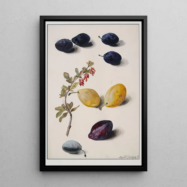 Leopold Zinngger - Fruits.webp
