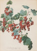 Rote Ribisel - Leopold Zinggler — weergave van het kunstwerk