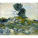 Reproductie van het schilderij De rotsen - Vincent van Gogh