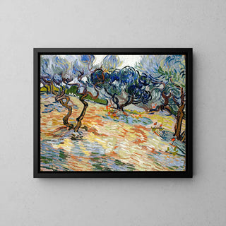 The Olive Trees - Vincent Van Gogh