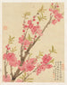 Bloemen Pl. 01 - Liang Yuwei — weergave van het kunstwerk
