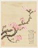 Bloemen Pl. 02 - Liang Yuwei — weergave van het kunstwerk