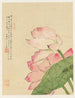 Bloemen Pl. 04 - Liang Yuwei — weergave van het kunstwerk