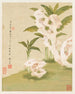 Bloemen Pl. 06 - Liang Yuwei — weergave van het kunstwerk