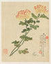 Bloemen Pl10 - Liang Yuwei — weergave van het kunstwerk