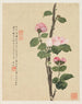 Bloemen Pl11 - Liang Yuwei — weergave van het kunstwerk