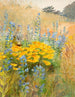 Pllulilled - Lilly Walther — artwork view
