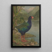 Zonder titel Takahe - Lily Attey Daff — ingelijst kunstwerk aan de muur