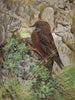 Alpenlijster - Léon-Paul Robert — weergave van het kunstwerk