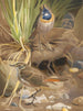 Gorge bleue - Léon-Paul Robert — weergave van het kunstwerk