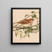 Moineau friquet - Léon-Paul Robert — ingelijst kunstwerk aan de muur