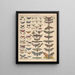 Illustraties voor de Algemene Natuurgeschiedenis van Oken voor alle klassen Pl084 - Lorenz Oken — ingelijst kunstwerk aan de muur