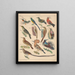 Illustraties voor de Algemene Natuurgeschiedenis van Oken voor alle klassen Pl122 - Lorenz Oken — ingelijst kunstwerk aan de muur