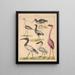 Illustraties voor de Algemene Natuurgeschiedenis van Oken voor alle klassen Pl129 - Lorenz Oken — ingelijst kunstwerk aan de muur