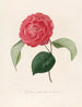Iconografie van het genre Camellia Pl097 - Lorenzo Bartolini — weergave van het kunstwerk