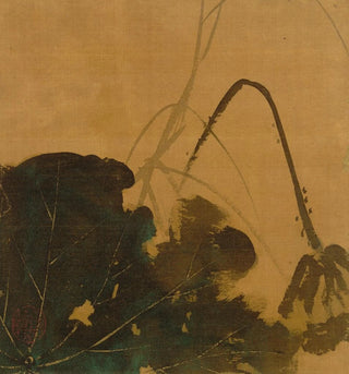 Shibata Zeshin - Lotus.webp