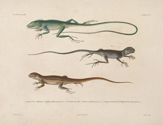 LouisIsidore Duperrey - Voyage autour du monde Pl001.webp