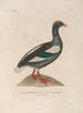 Reis rond de wereld Pl156 - Louis-Isidore Duperrey — weergave van het kunstwerk