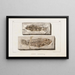 Recherches sur les poissons fossiles Pl068 - Louis Agassiz — framed artwork on a wall