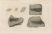 Recherches sur les poissons fossiles Pl124 - Louis Agassiz — artwork view