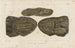 van Onderzoek naar fossiele vissen, Pl229 - Louis Agassiz — weergave van het kunstwerk