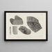 van de Recherches sur les poissons fossiles Pl264 - Louis Agassiz — ingelijst kunstwerk aan de muur