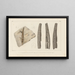 Recherches sur les poissons fossiles Pl278 - Louis Agassiz — framed artwork on a wall