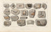Recherches sur les poissons fossiles Pl290 - Louis Agassiz — artwork view