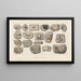 Recherches sur les poissons fossiles Pl290 - Louis Agassiz — framed artwork on a wall