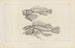 Recherches sur les poissons fossiles Pl346 - Louis Agassiz — artwork view