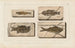 van Onderzoekingen over fossiele vissen, Pl. 360 - Louis Agassiz — weergave van het kunstwerk